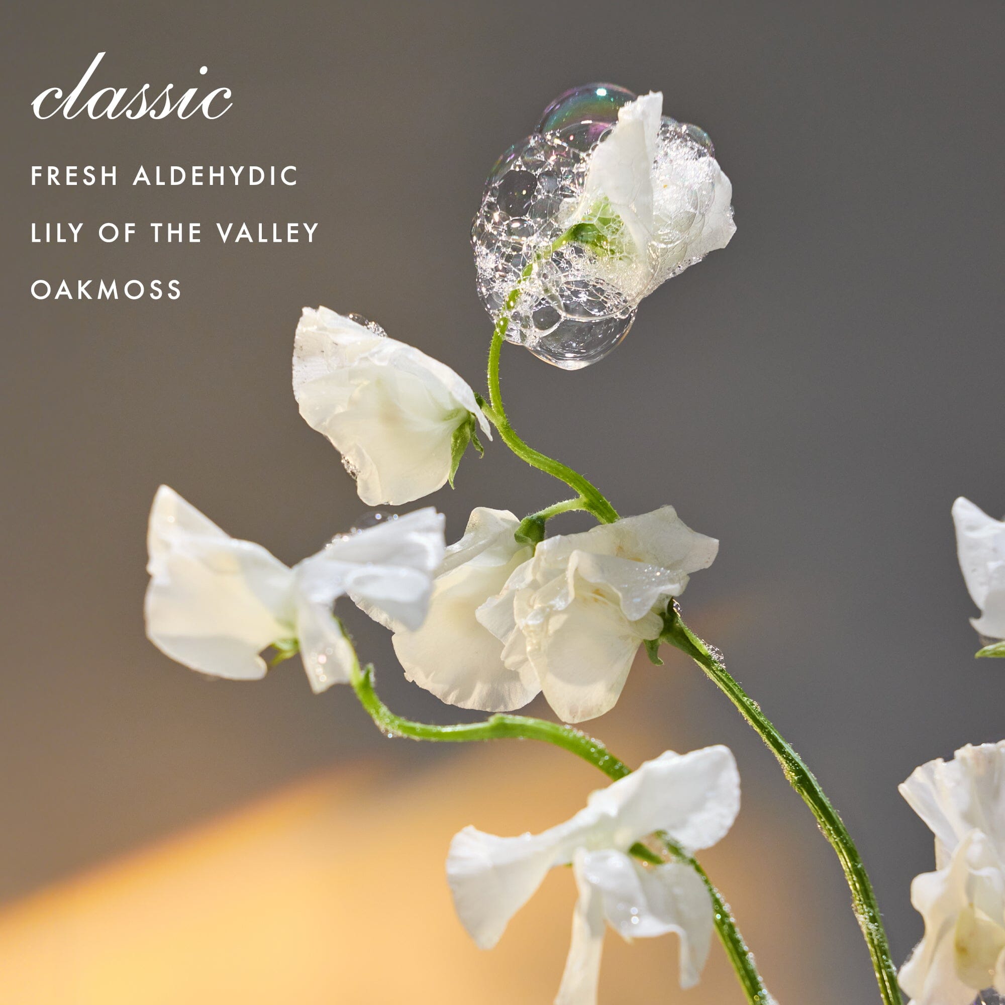 Fabric Conditioner Classic Household Supplies The Laundress